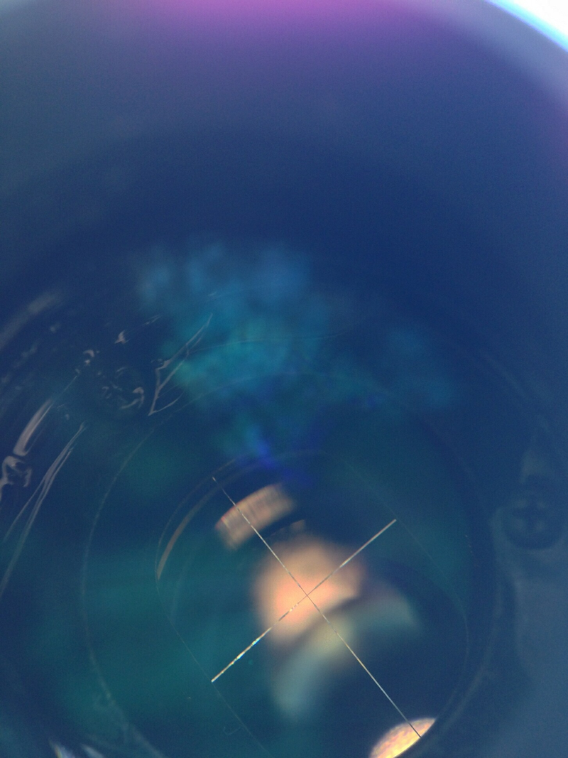 Illustration for article titled Through the riflescope